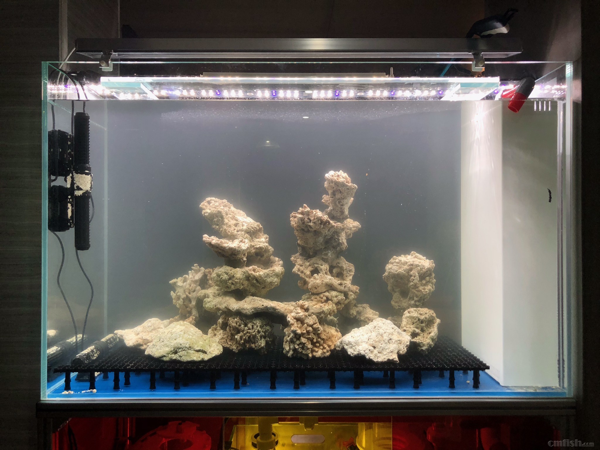 F9A7FA2D-A7BB-4EDF-B206-D72E14A166E3.jpeg