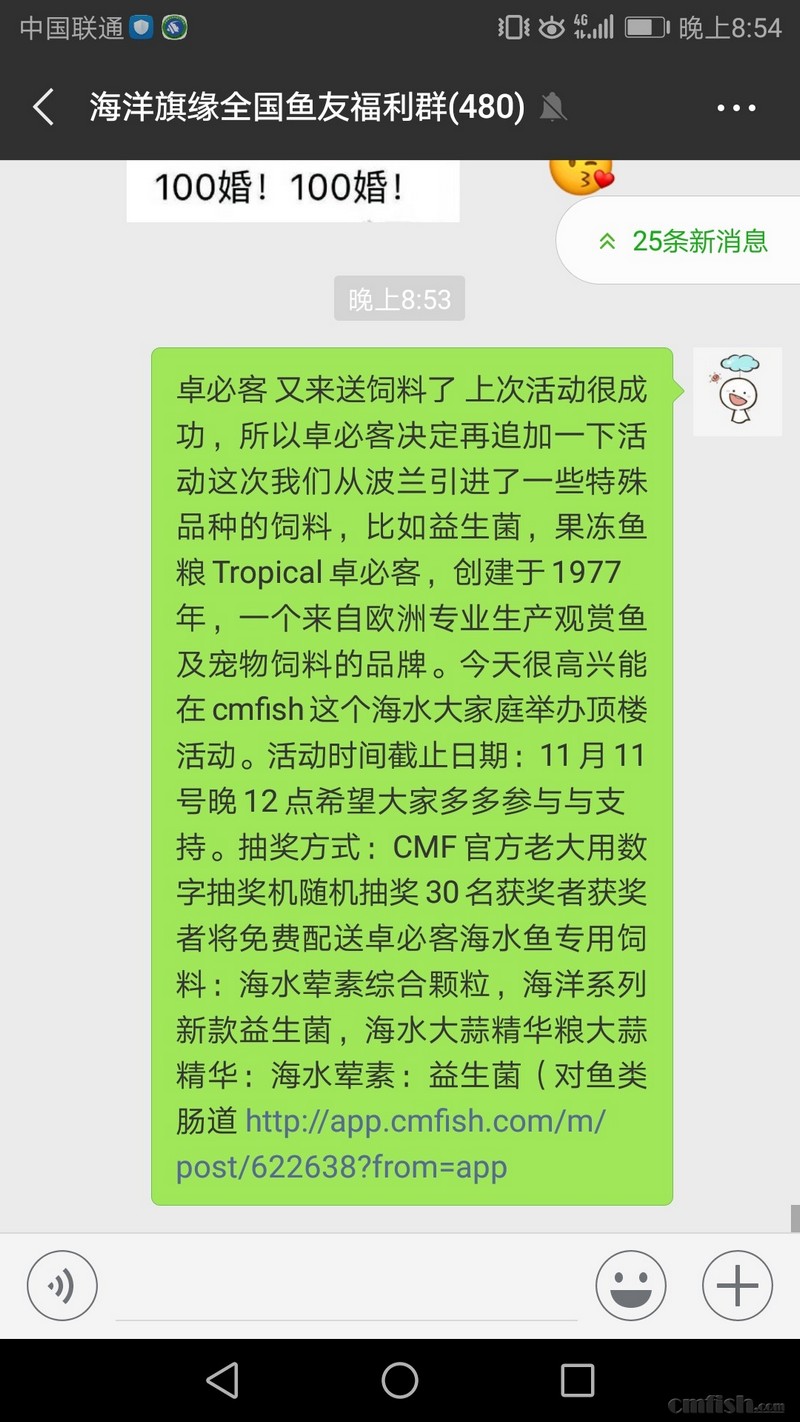 1.1.jpg