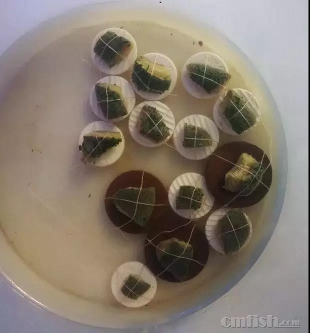 �е�Ƥ��.jpg