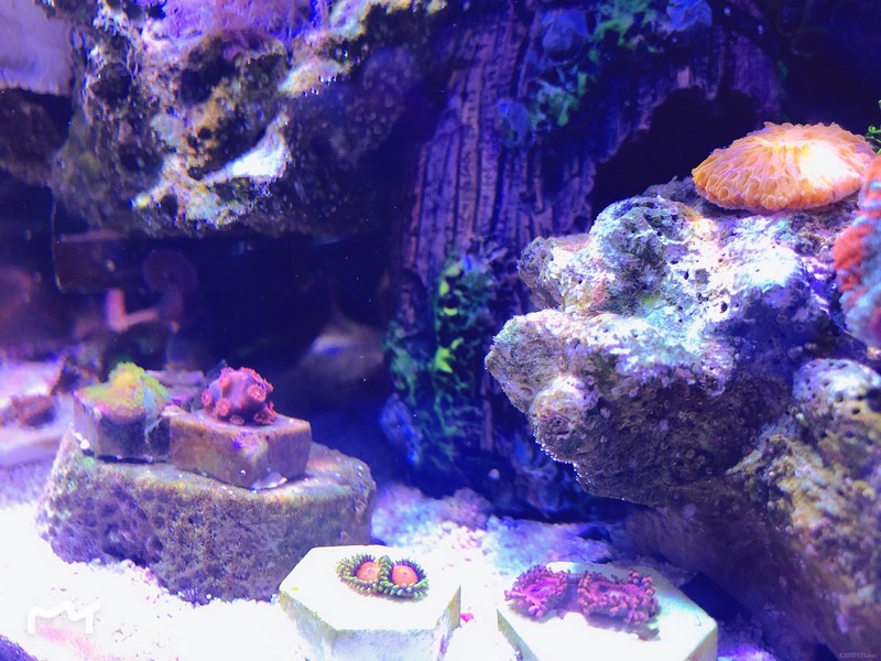 ΢��ͼƬ_20181107141815.jpg