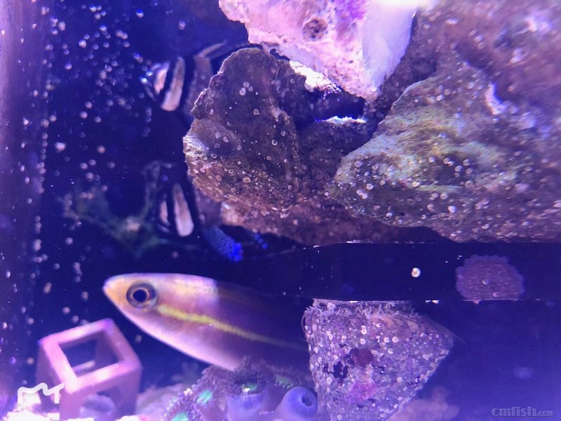 ΢��ͼƬ_20181108111601.jpg