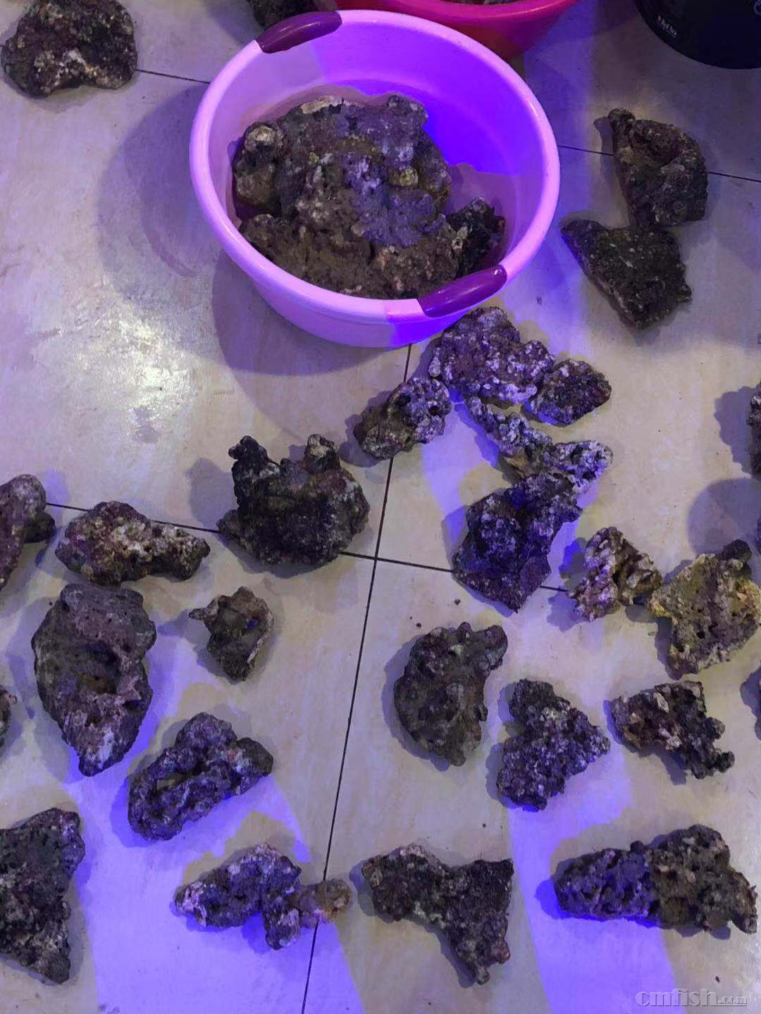 һ��ʯͷ.jpg