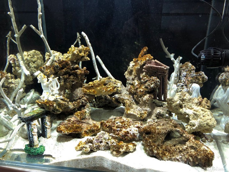 11��17��1.jpg