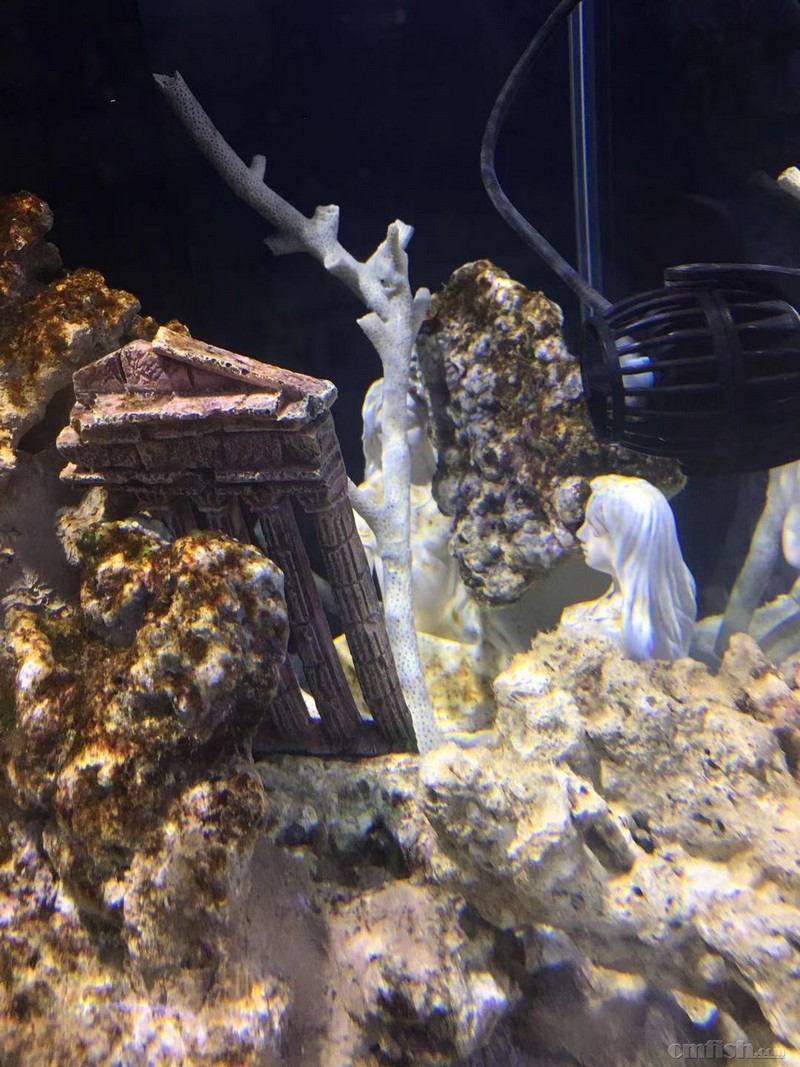 11��19��3.jpg