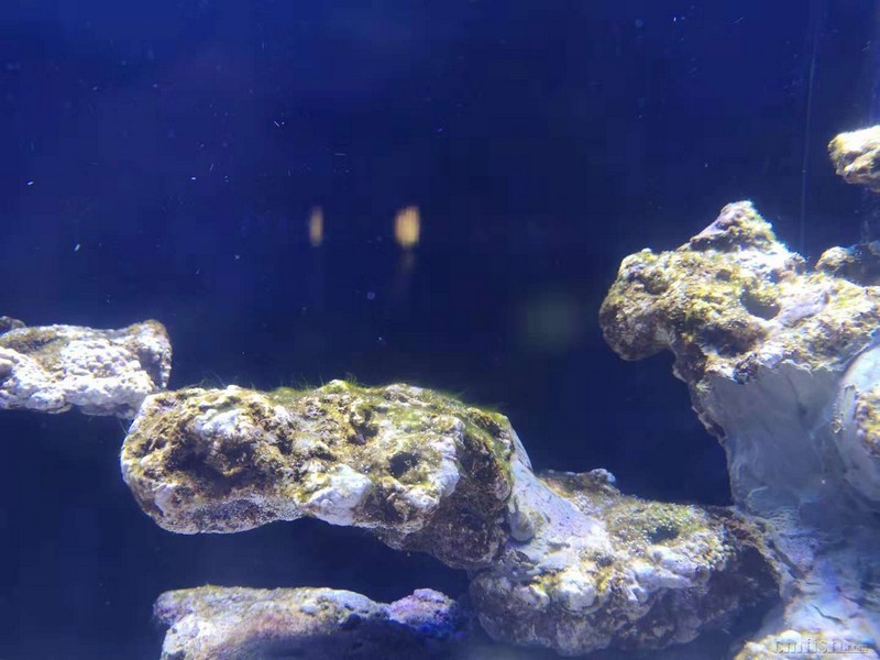 ΢��ͼƬ_20181119130525.jpg