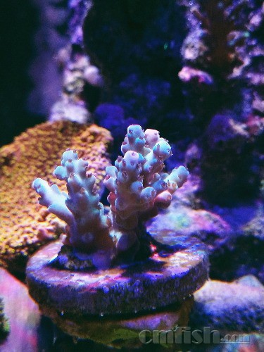 IMG_20181107_211652.jpg