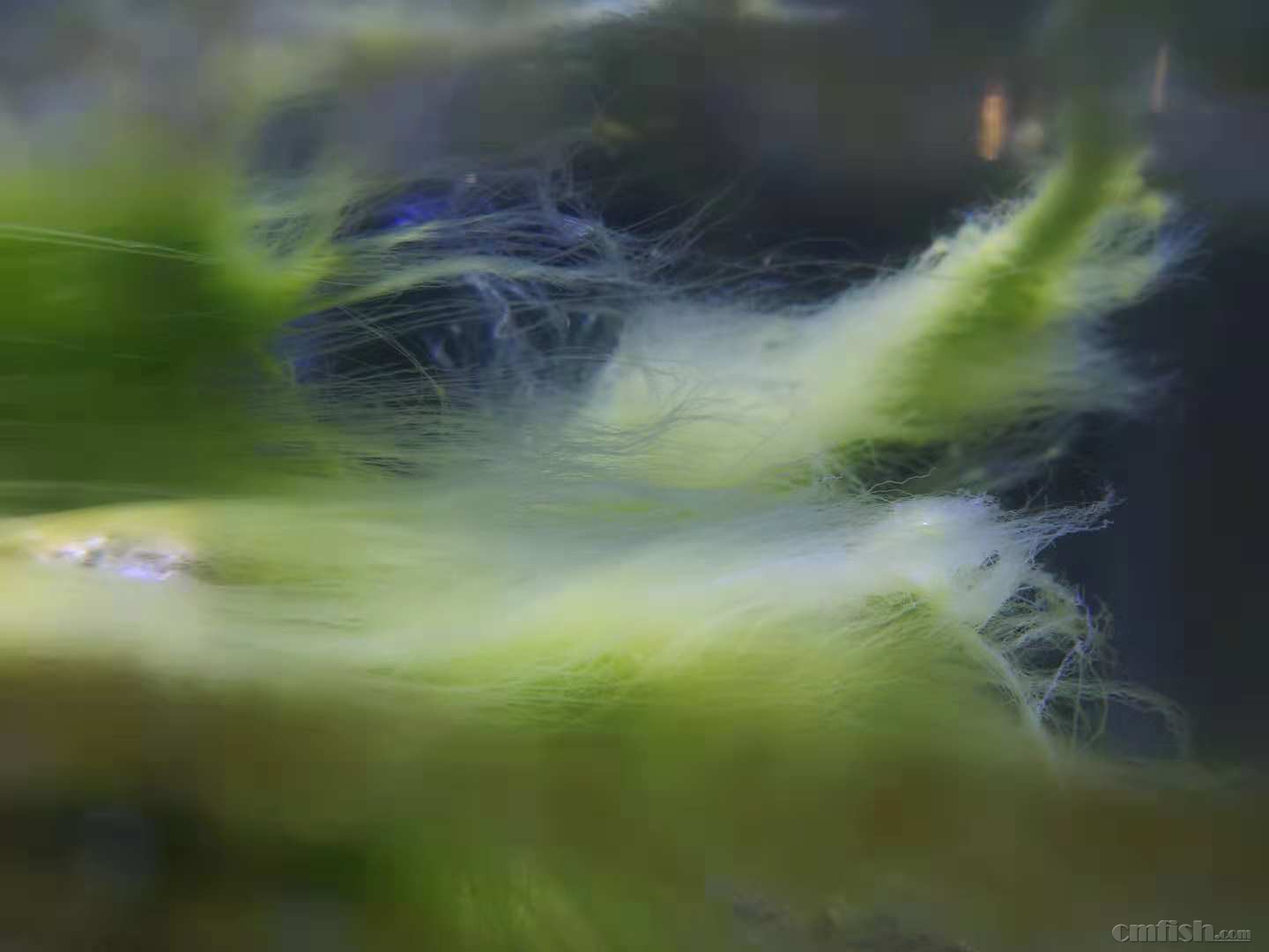 ��Լ��ʼ����