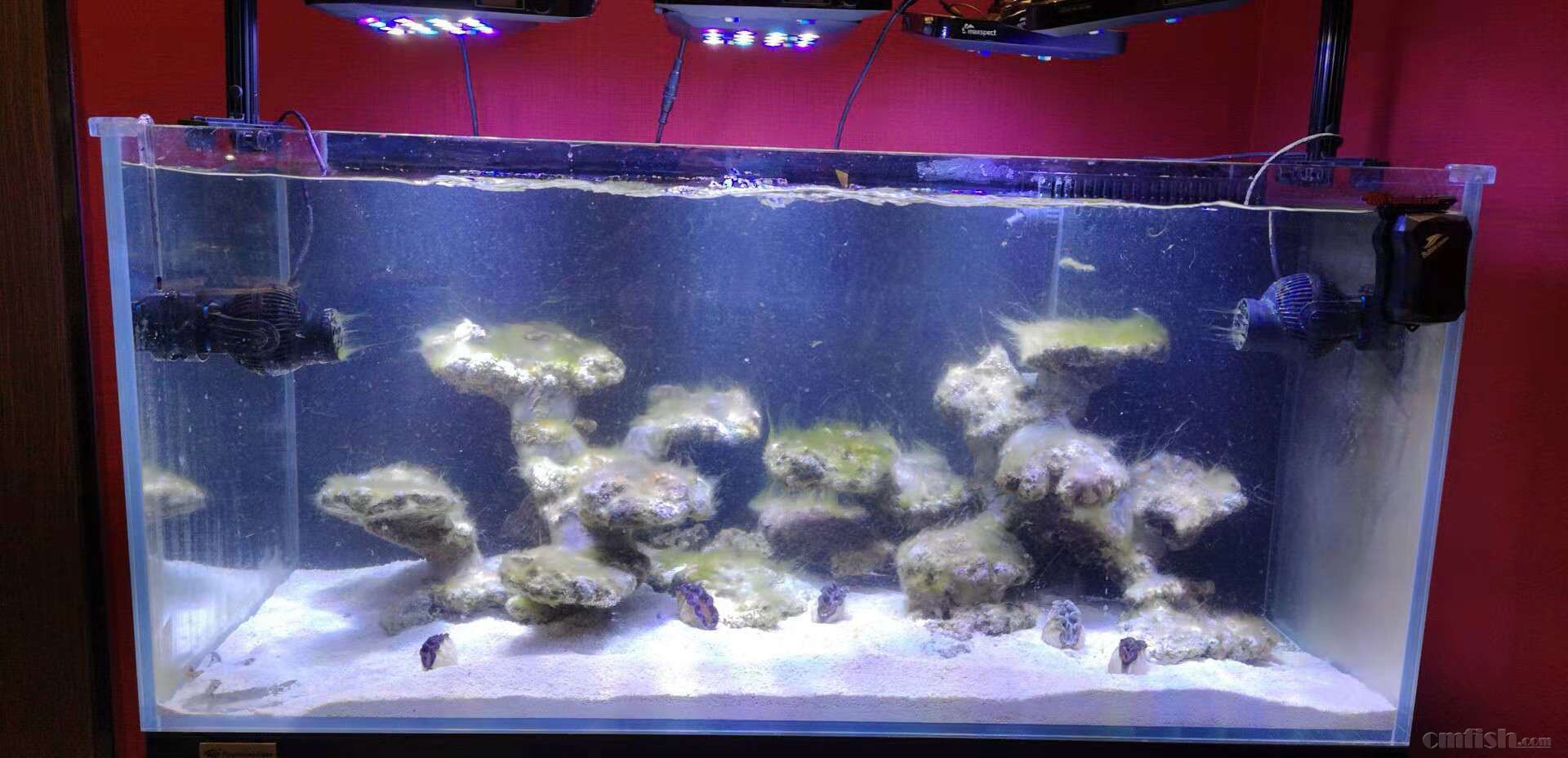 ��ˮ80��