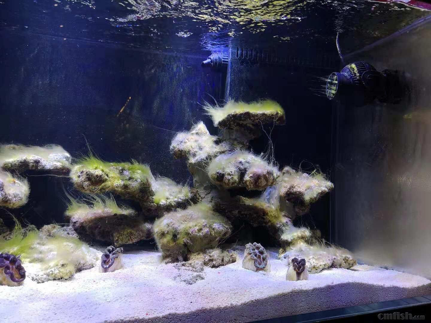 ΢��ͼƬ_20181130204752.jpg