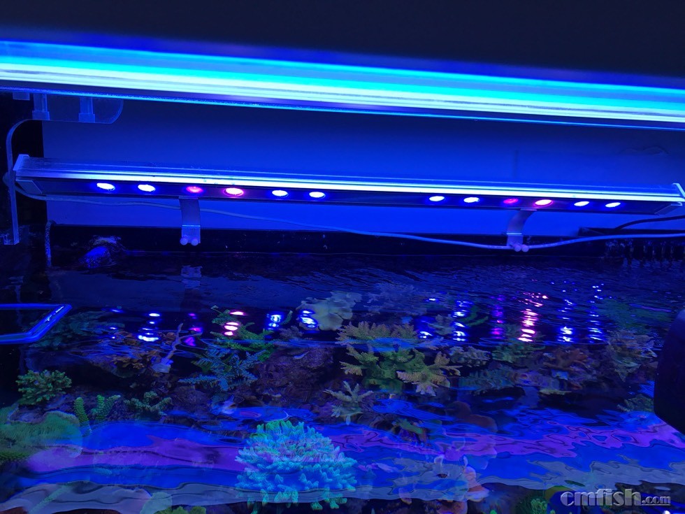 出key120补蓝光led 补光灯