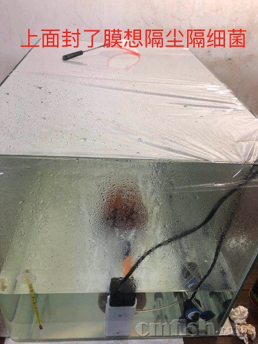 7CA92DE2-2C64-4D52-B691-2D38A4A00481.jpeg
