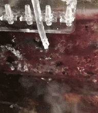 3.gif