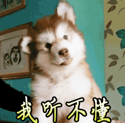 8.gif