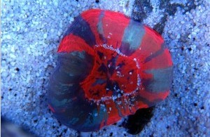 2013��12��.jpg
