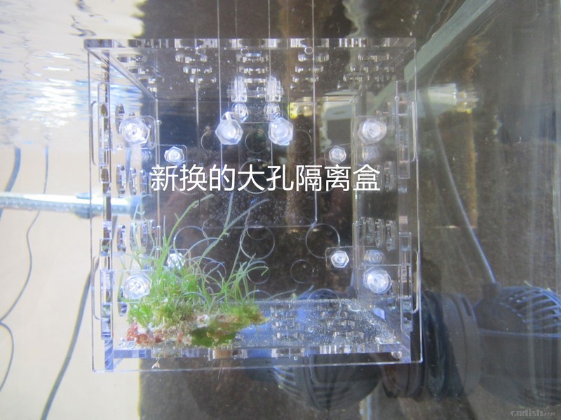 IMG_7010_副本.jpg