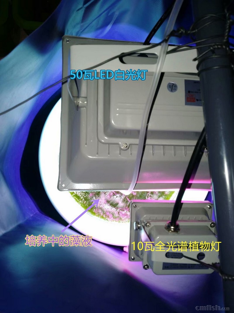 psb5670000000_副本.jpg