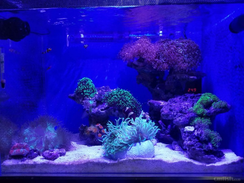 ����1��