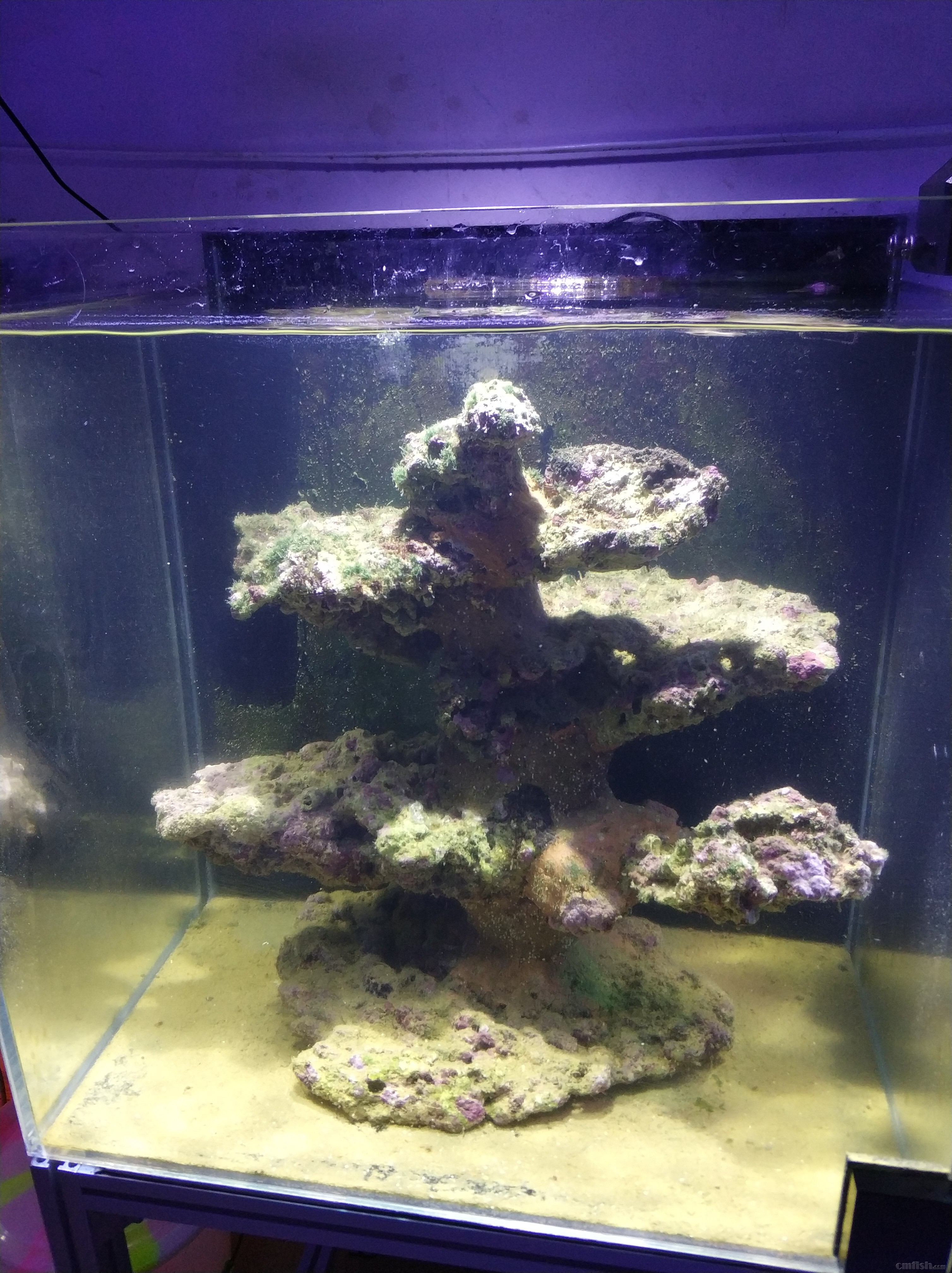 佛山盐步出高钙造景活石,自提