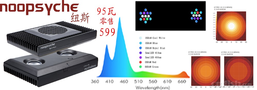 1000x350 ����.jpg