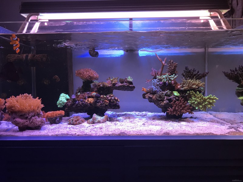 2017-06-25 204902.jpg