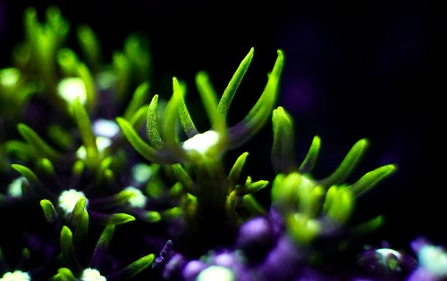 ECEDC60C-EF72-4572-B21F-183513CB86B1.jpeg