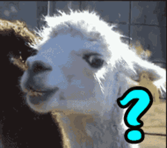 2.gif