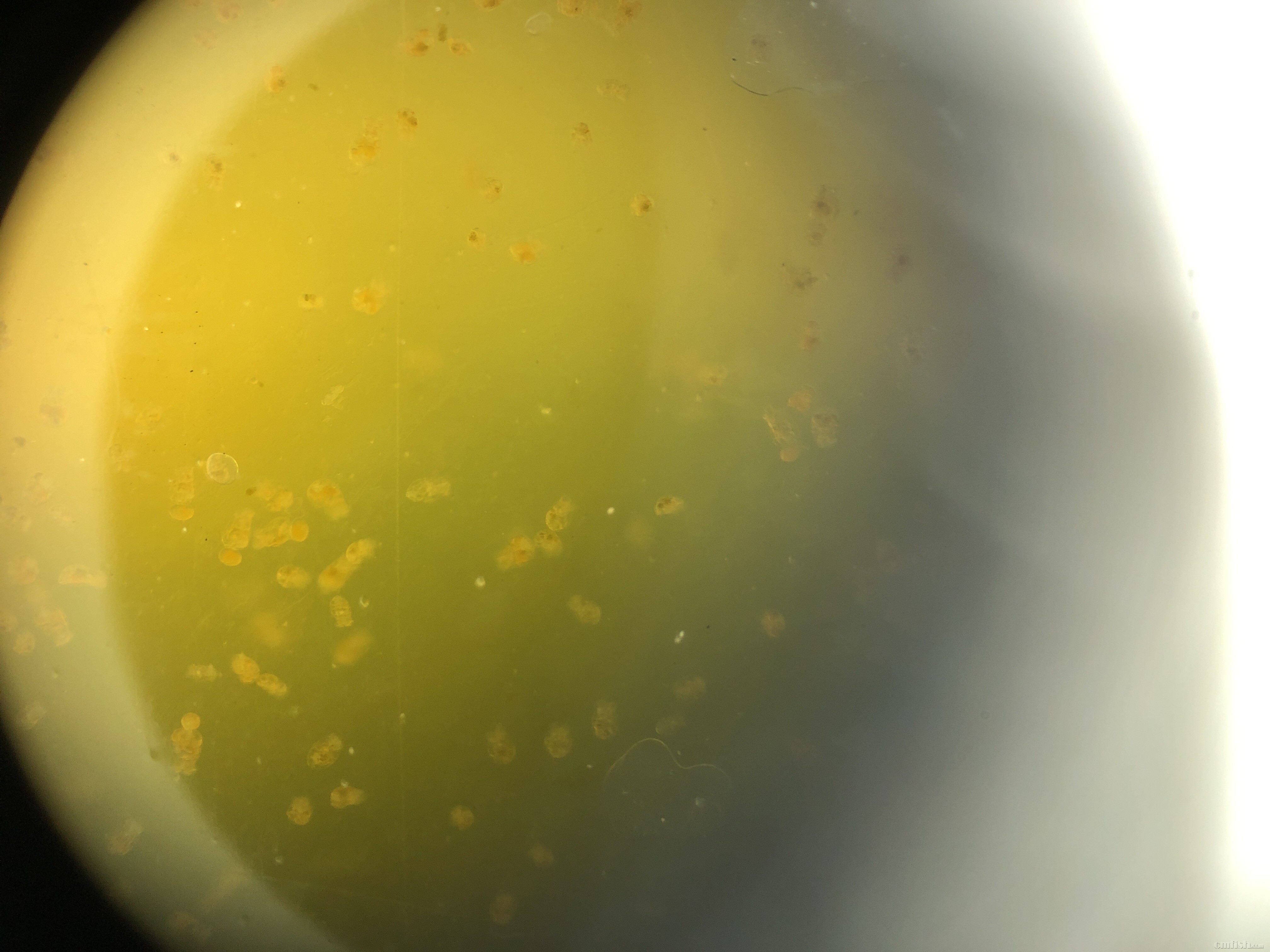 2019-02-13 130023.jpg