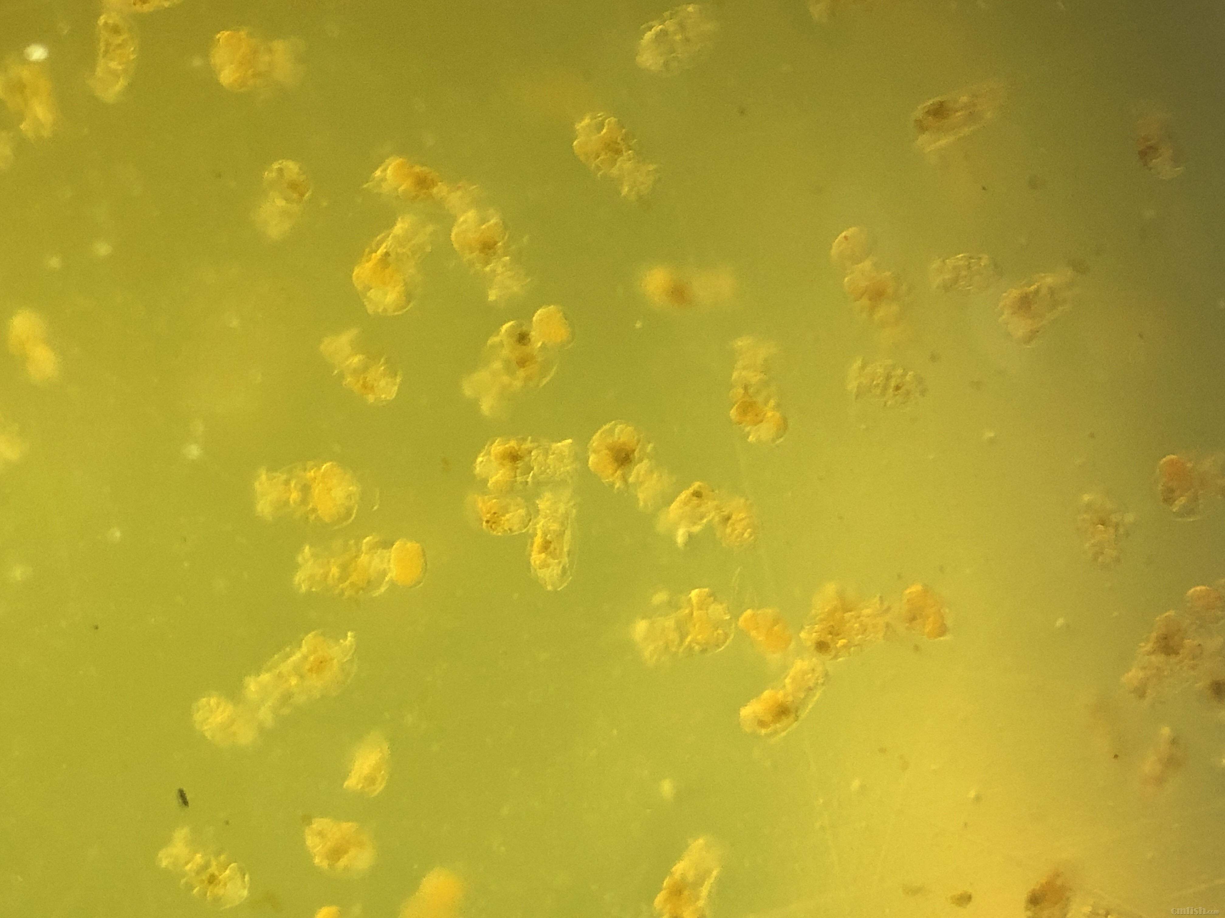 2019-02-13 143527.jpg