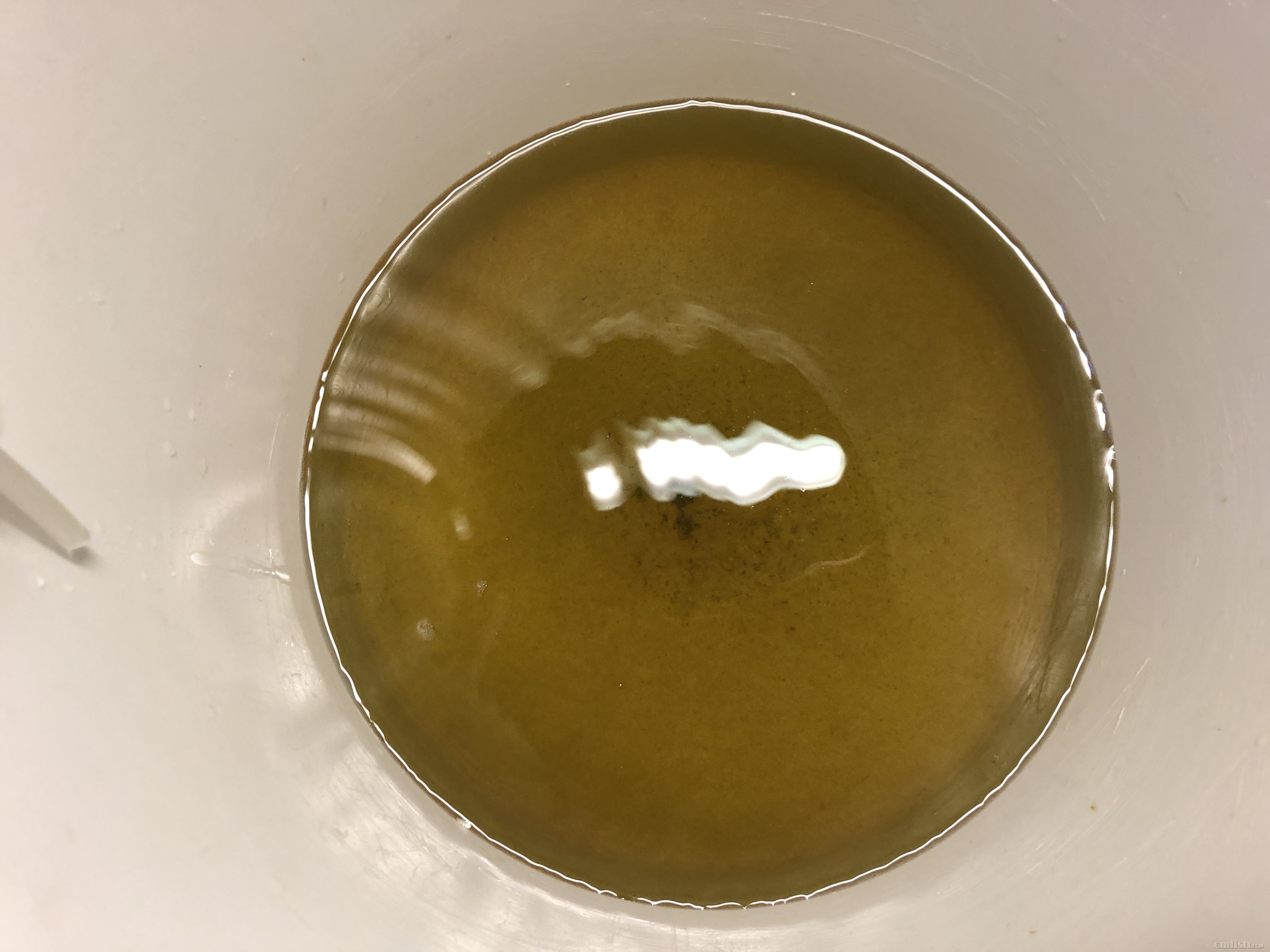 2019-02-13 204725.jpg