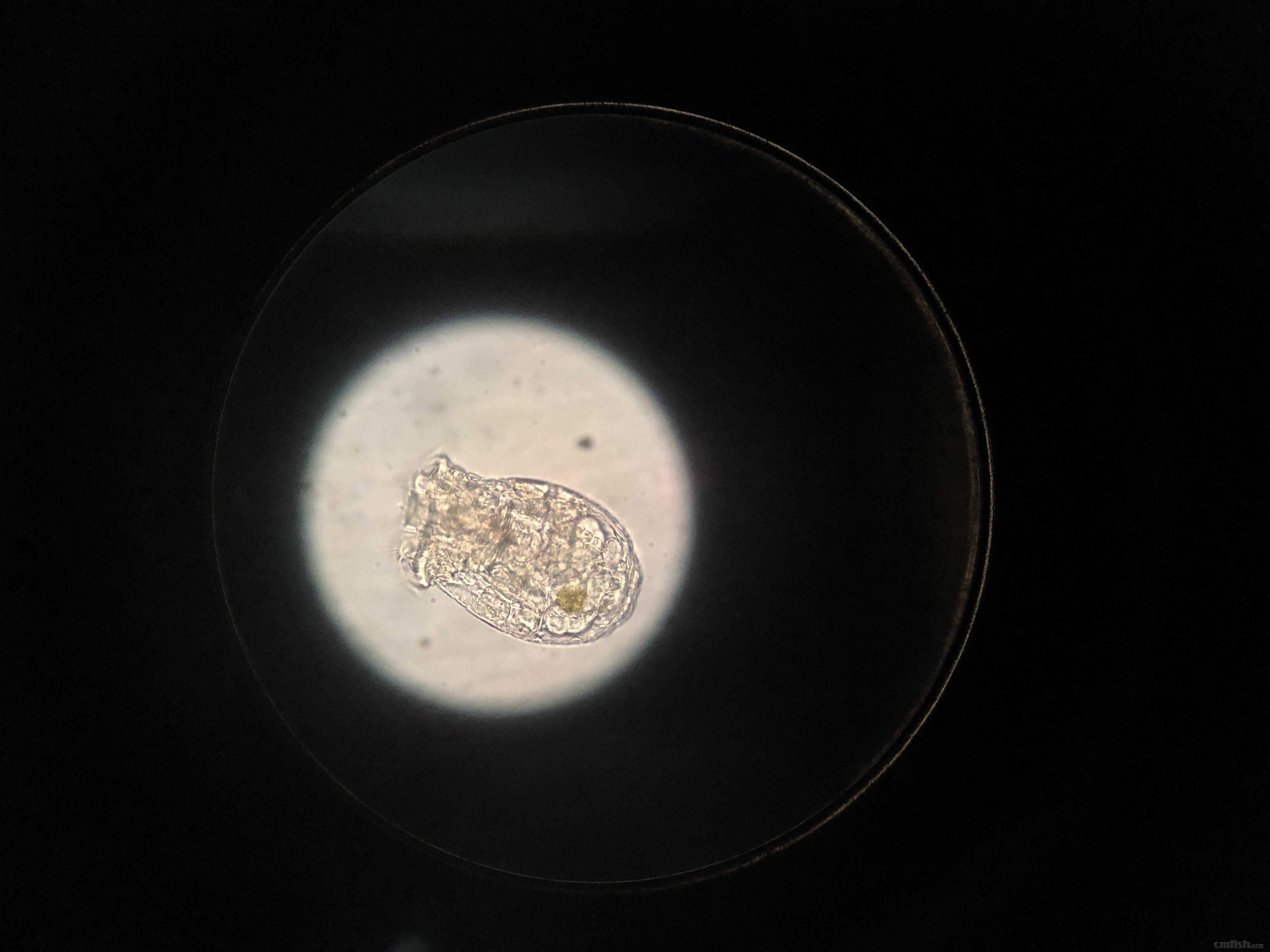 2019-02-13 230342.jpg