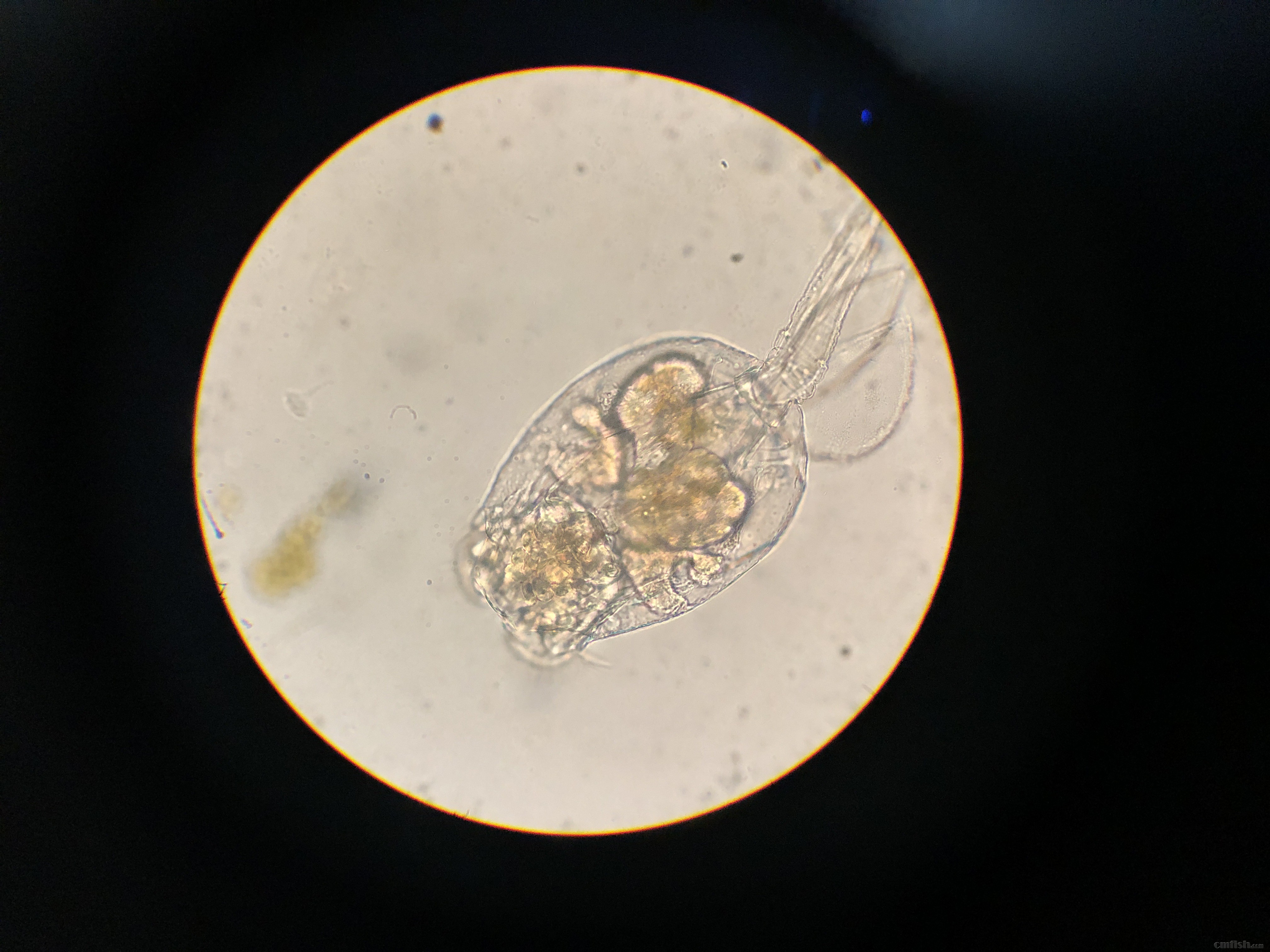 2019-02-13 231001.jpg