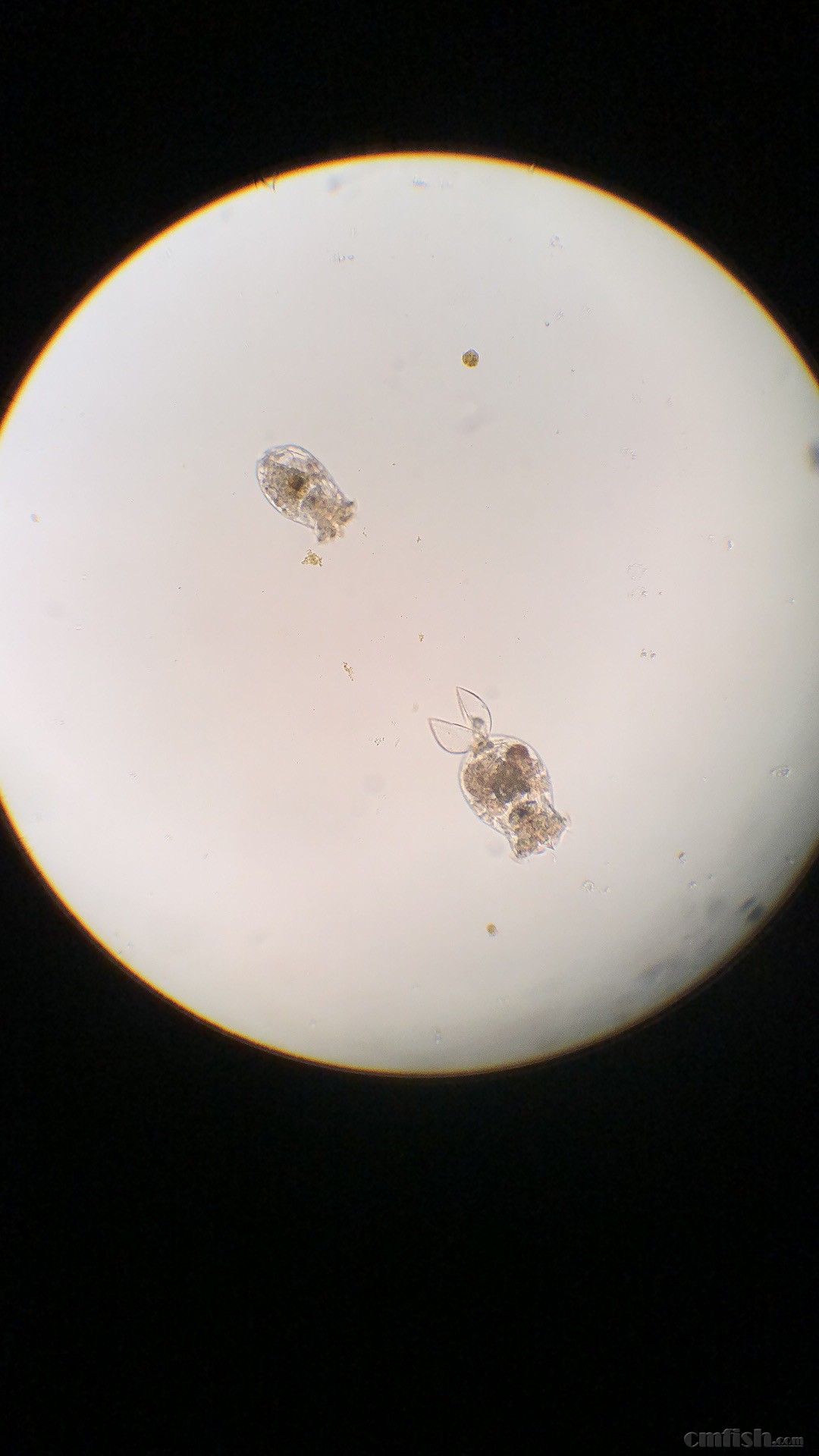 2019-02-13 231930.jpg