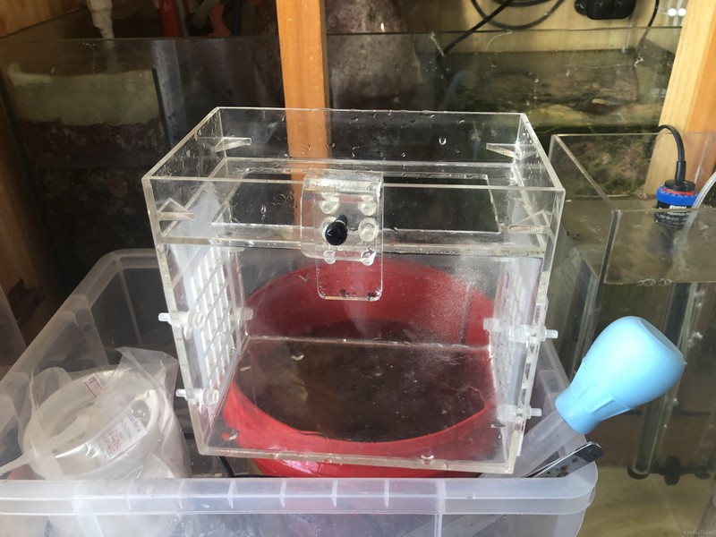 2019-02-17 075421.jpg