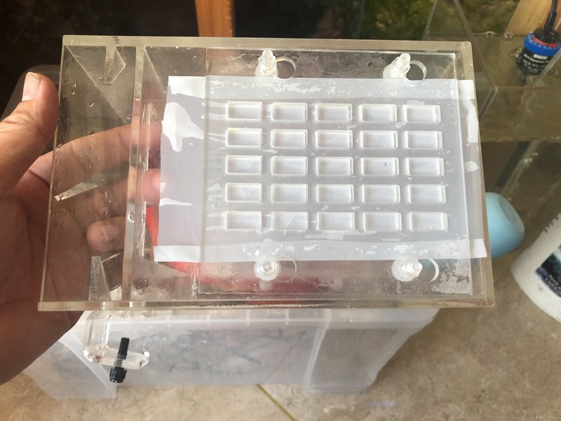 2019-02-17 075427.jpg