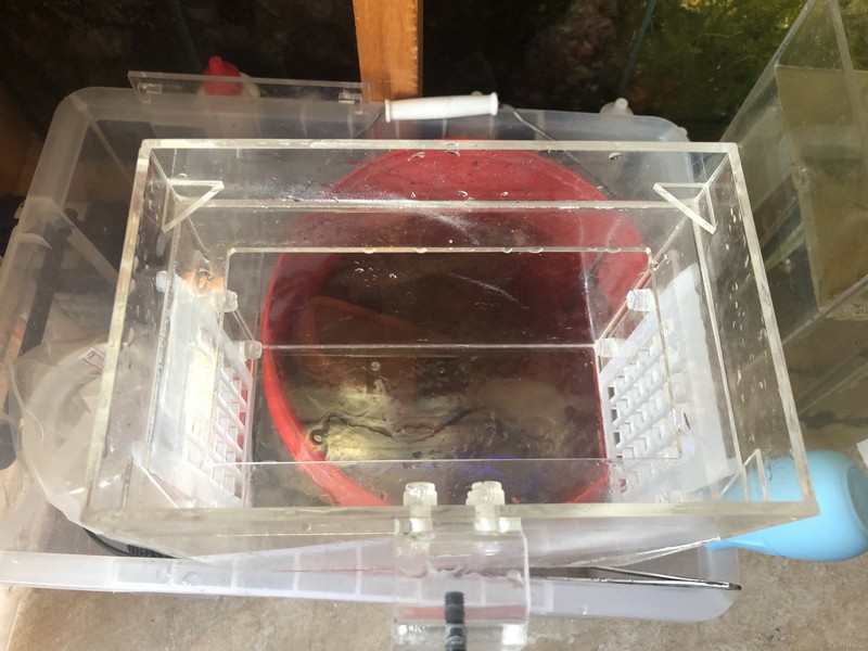 2019-02-17 075433.jpg