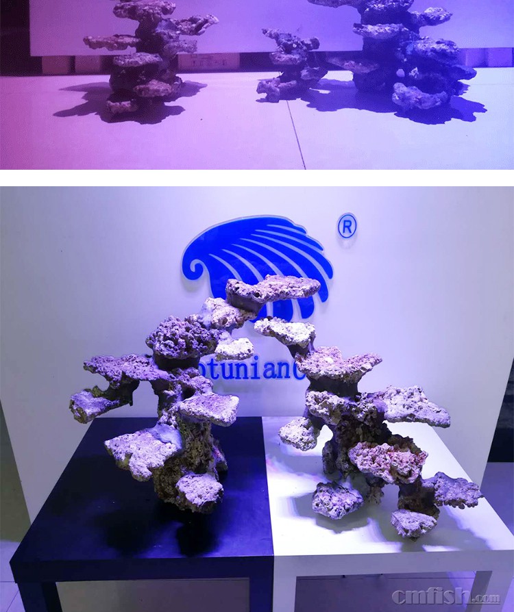 你有千百种姿态,我有千百种喜欢——海魔方专业活石造景