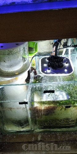 wx_camera_1550828457729.jpg