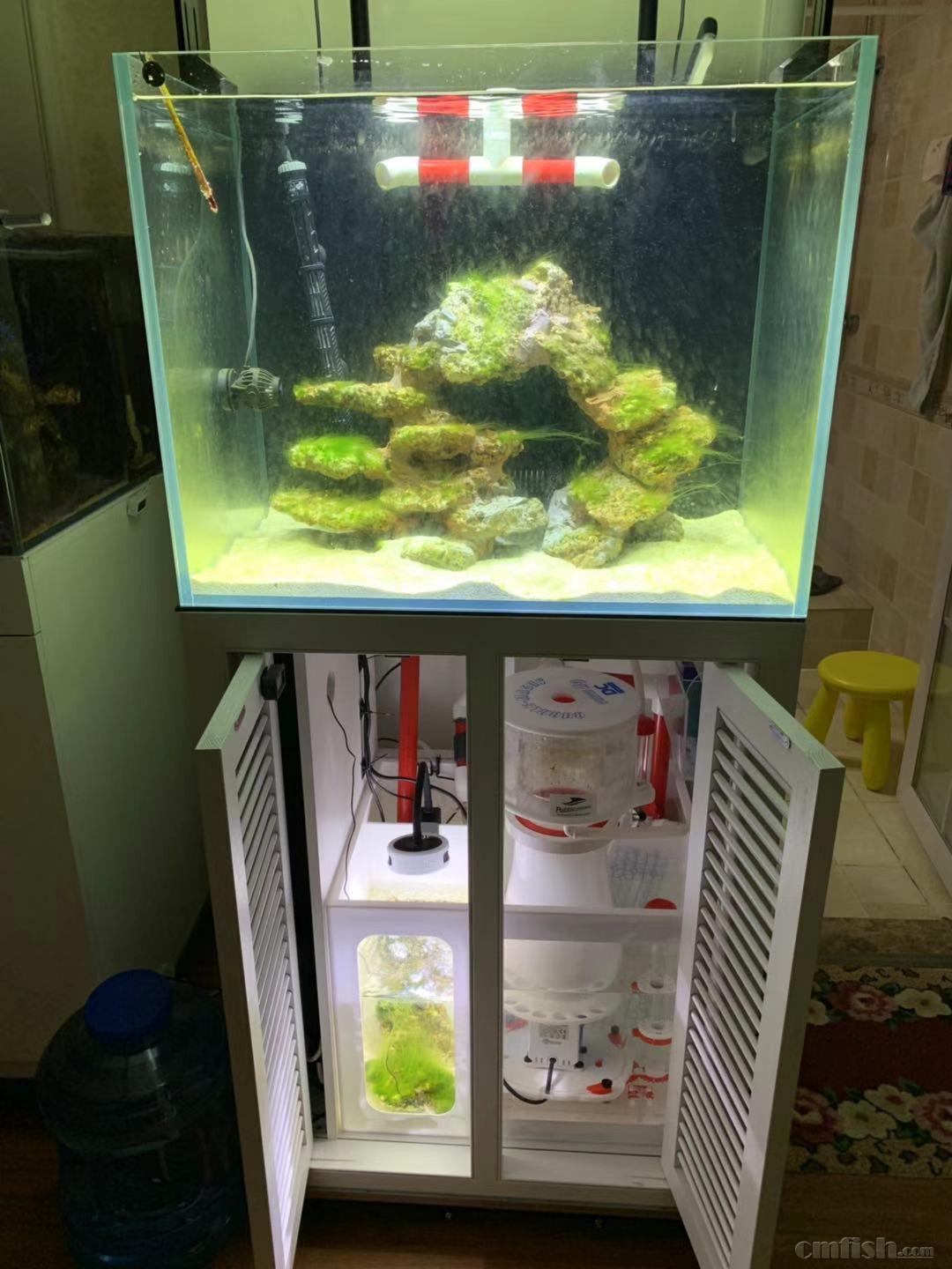 ΢��ͼƬ_20190227221548.jpg