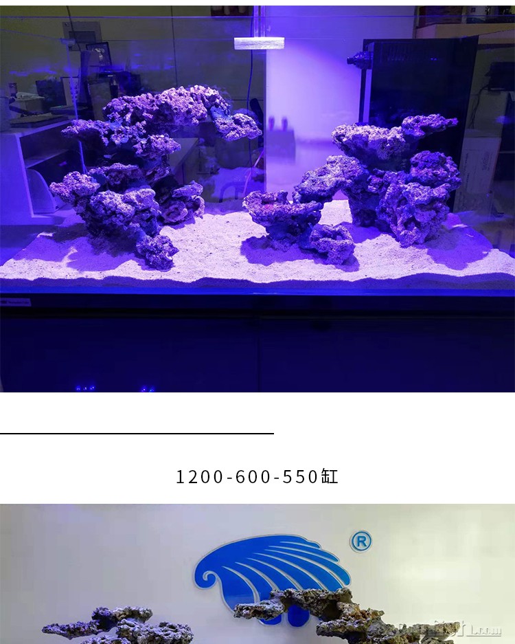 海魔方sps和lps造景