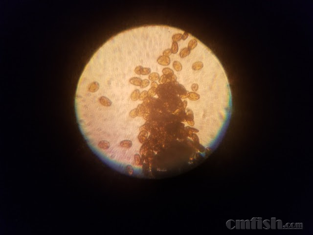 20180224_160931.jpg