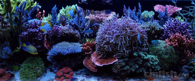 SPS��.jpg
