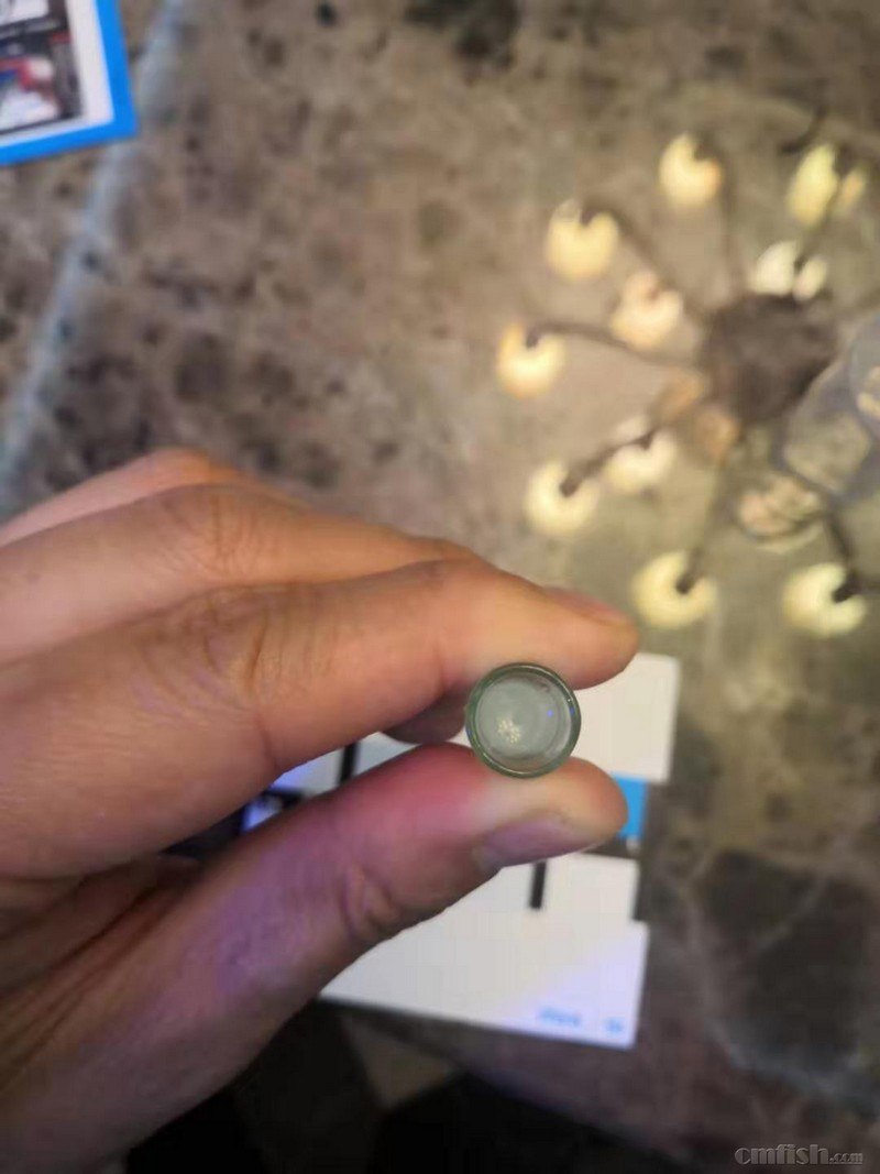 763077417.jpg