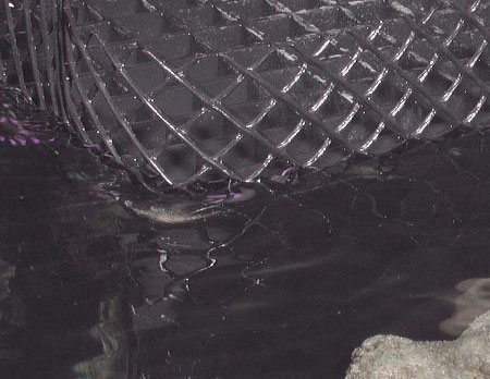 ��������3.jpg