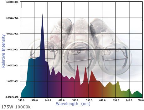 175W-10k-graph-4.jpg