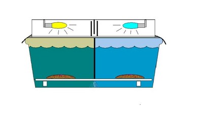 image_preview.jpg