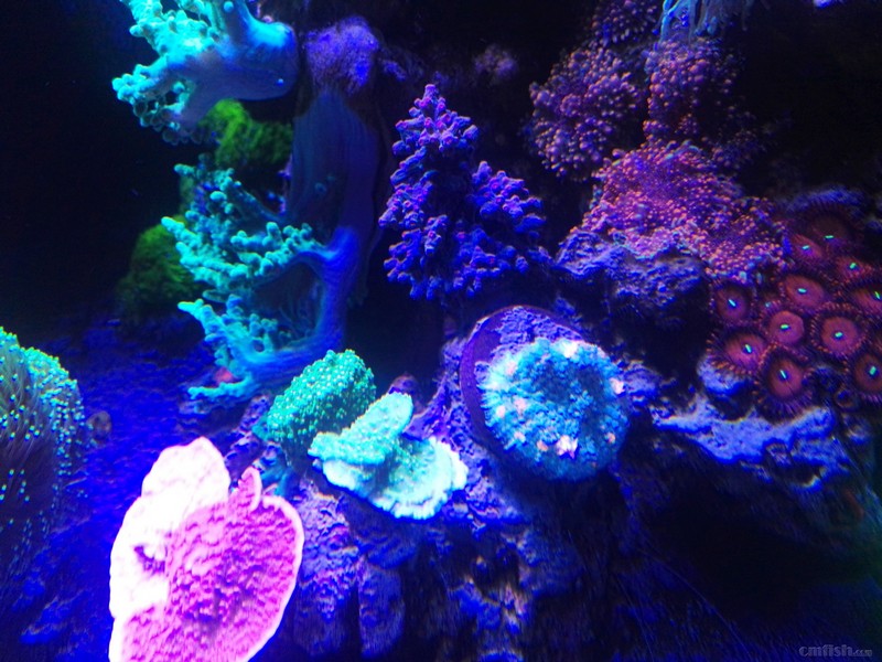 IMG_20190416_190914.jpg
