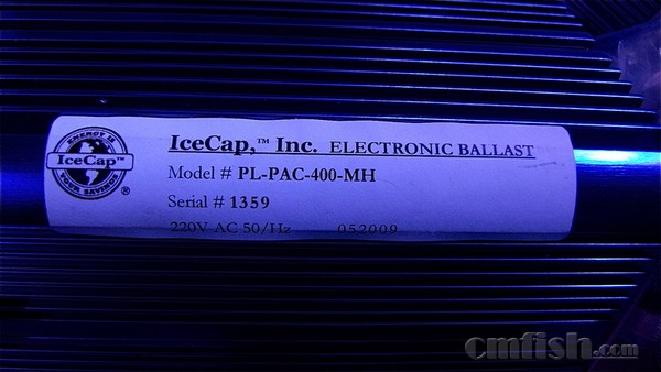 IceCap������3.jpg