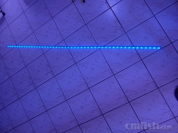 �¹�LED��1.jpg