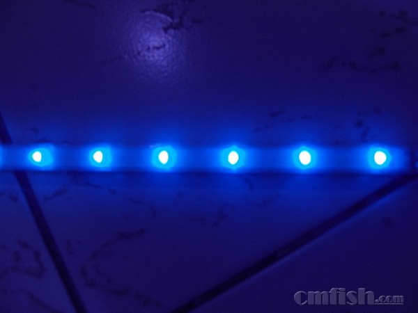 �¹�LED��3.jpg