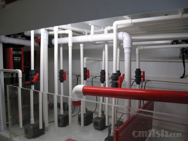 ������Ƭ7.jpg